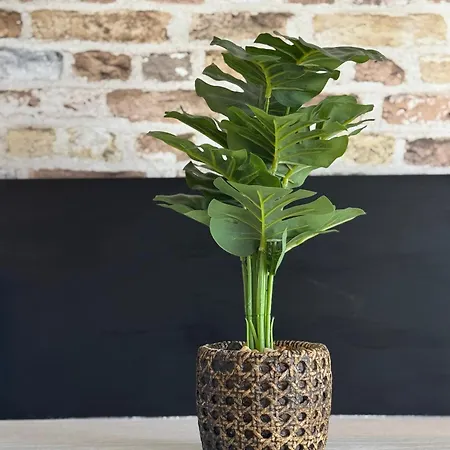 Paraiso Sur & Panoramic Views Apartment, Tenerife Appartement