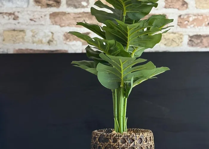 Paraiso Sur & Panoramic Views Apartment, Tenerife Lägenhet